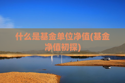 什么是基金单位净值(基金净值初探)