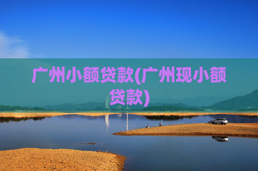 广州小额贷款(广州现小额贷款)