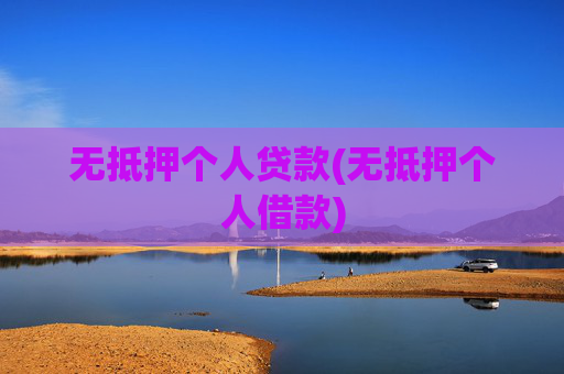 无抵押个人贷款(无抵押个人借款)