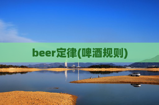 beer定律(啤酒规则)