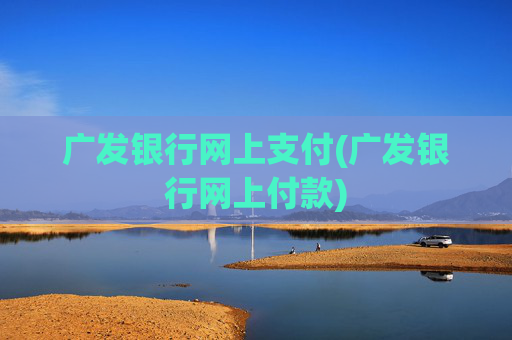 广发银行网上支付(广发银行网上付款)