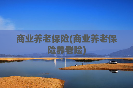 商业养老保险(商业养老保险养老险)