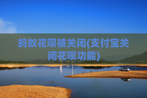 蚂蚁花呗被关闭(支付宝关闭花呗功能)