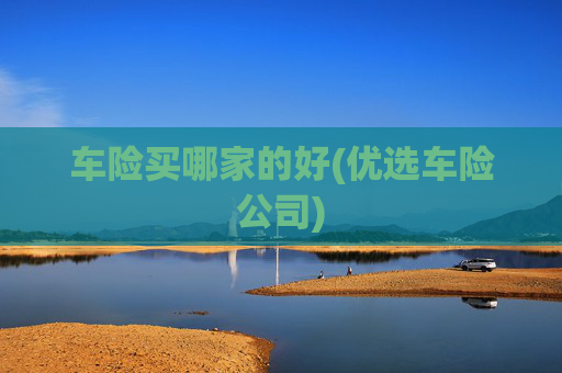 车险买哪家的好(优选车险公司)