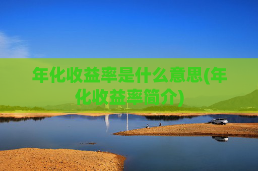 年化收益率是什么意思(年化收益率简介)