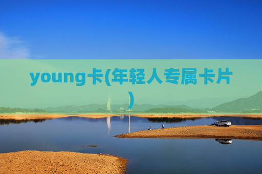 young卡(年轻人专属卡片)