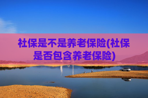 社保是不是养老保险(社保是否包含养老保险)