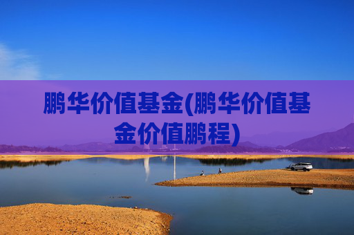 鹏华价值基金(鹏华价值基金价值鹏程)