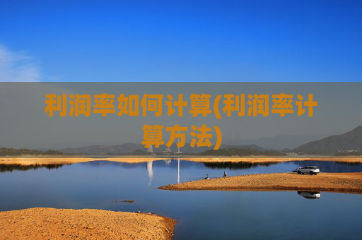 利润率如何计算(利润率计算方法)