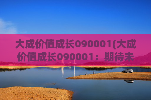 大成价值成长090001(大成价值成长090001：期待未来)