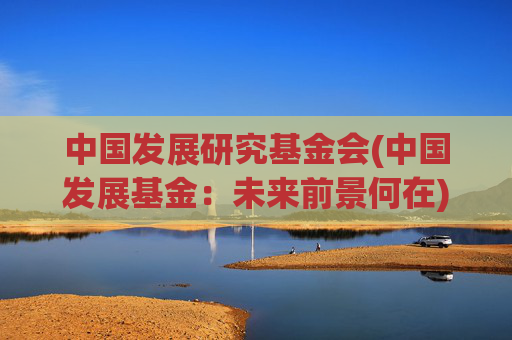 中国发展研究基金会(中国发展基金：未来前景何在)
