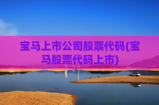宝马上市公司股票代码(宝马股票代码上市)