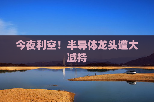 今夜利空！半导体龙头遭大减持