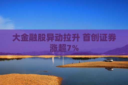 大金融股异动拉升 首创证券涨超7%