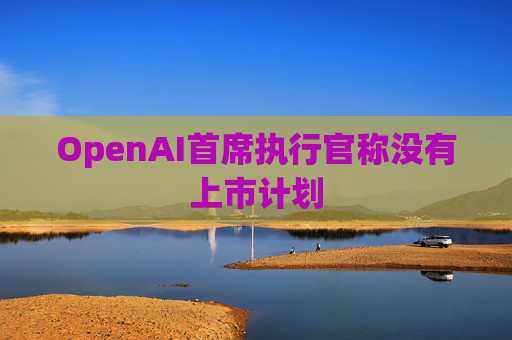OpenAI首席执行官称没有上市计划