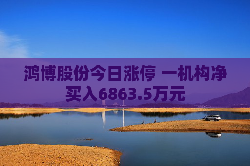 鸿博股份今日涨停 一机构净买入6863.5万元