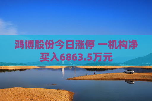鸿博股份今日涨停 一机构净买入6863.5万元