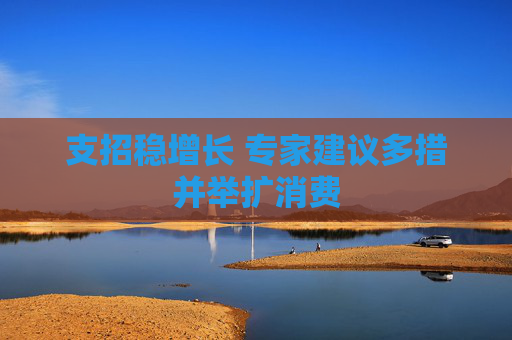 支招稳增长 专家建议多措并举扩消费