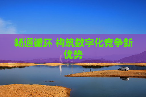 畅通循环 构筑数字化竞争新优势