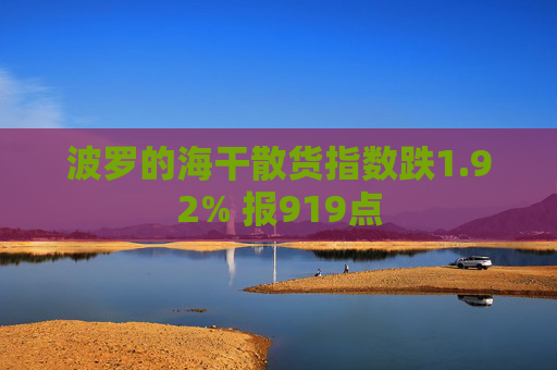 波罗的海干散货指数跌1.92% 报919点