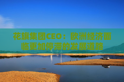 花旗集团CEO：欧洲经济面临更加停滞的发展道路