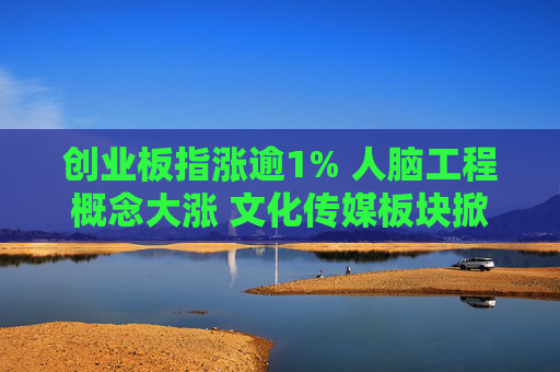 创业板指涨逾1% 人脑工程概念大涨 文化传媒板块掀涨停潮