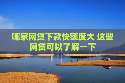 哪家网贷下款快额度大 这些网贷可以了解一下
