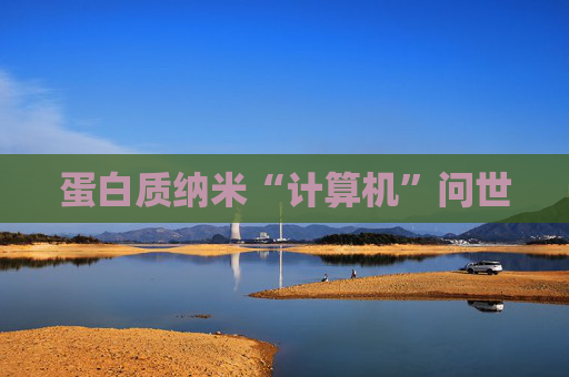 蛋白质纳米“计算机”问世