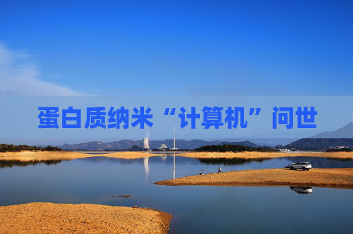 蛋白质纳米“计算机”问世