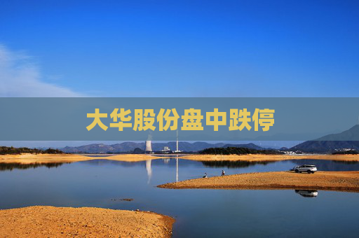 大华股份盘中跌停