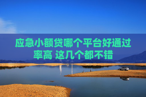 应急小额贷哪个平台好通过率高 这几个都不错