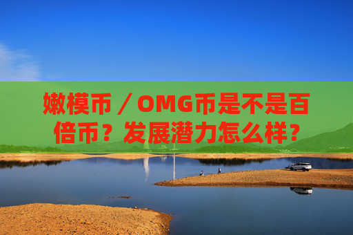 嫩模币／OMG币是不是百倍币？发展潜力怎么样？