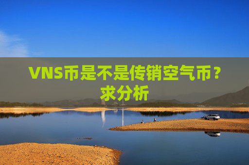 VNS币是不是传销空气币？求分析