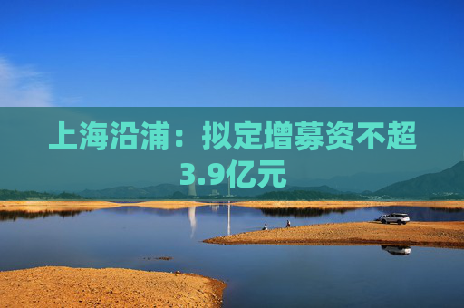 上海沿浦：拟定增募资不超3.9亿元