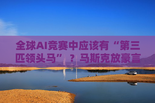 全球AI竞赛中应该有“第三匹领头马” ？马斯克放豪言：我来！