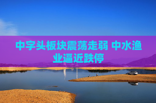 中字头板块震荡走弱 中水渔业逼近跌停
