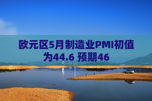 欧元区5月制造业PMI初值为44.6 预期46