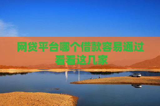 网贷平台哪个借款容易通过 看看这几家