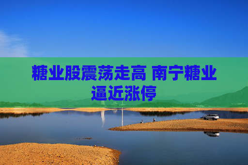 糖业股震荡走高 南宁糖业逼近涨停