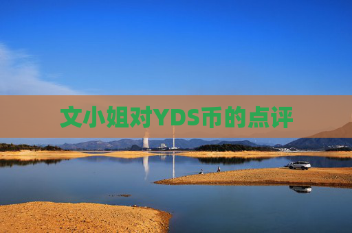 文小姐对YDS币的点评