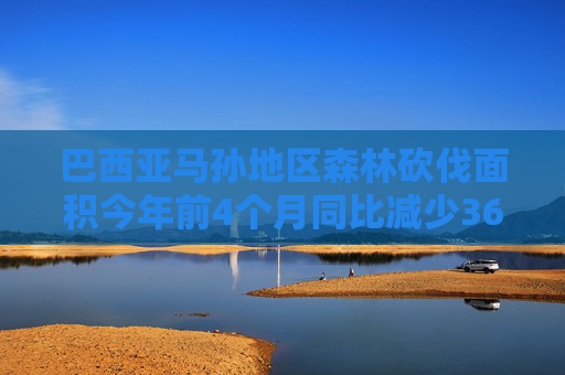 巴西亚马孙地区森林砍伐面积今年前4个月同比减少36%