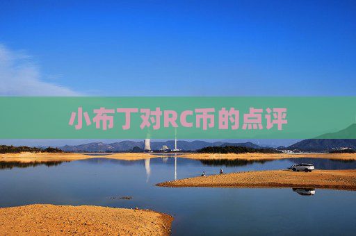 小布丁对RC币的点评