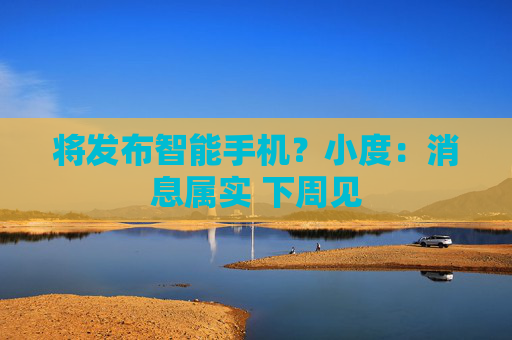 将发布智能手机？小度：消息属实 下周见