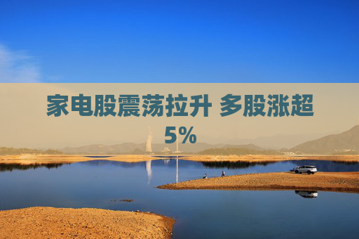 家电股震荡拉升 多股涨超5%