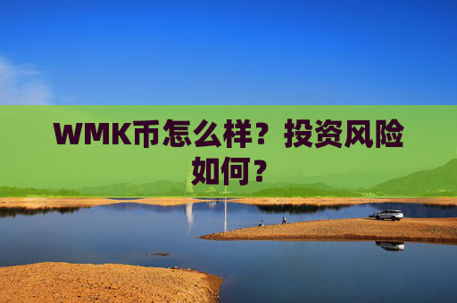 WMK币怎么样？投资风险如何？