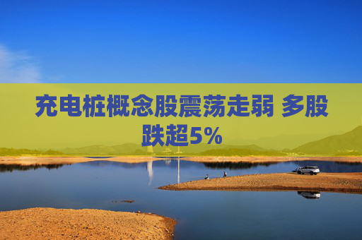 充电桩概念股震荡走弱 多股跌超5%