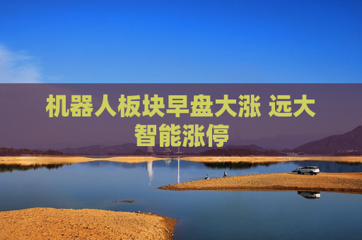 机器人板块早盘大涨 远大智能涨停