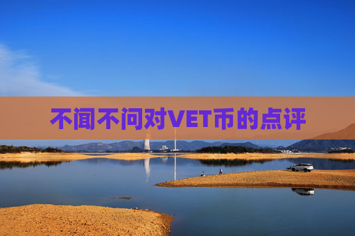 不闻不问对VET币的点评