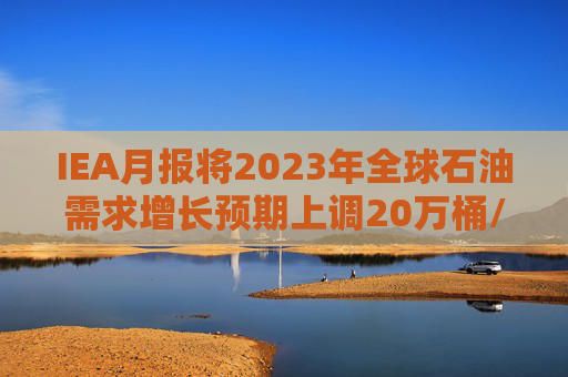 IEA月报将2023年全球石油需求增长预期上调20万桶/日