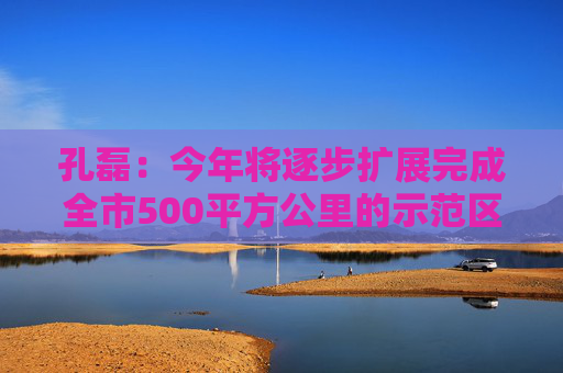 孔磊：今年将逐步扩展完成全市500平方公里的示范区扩区建设
